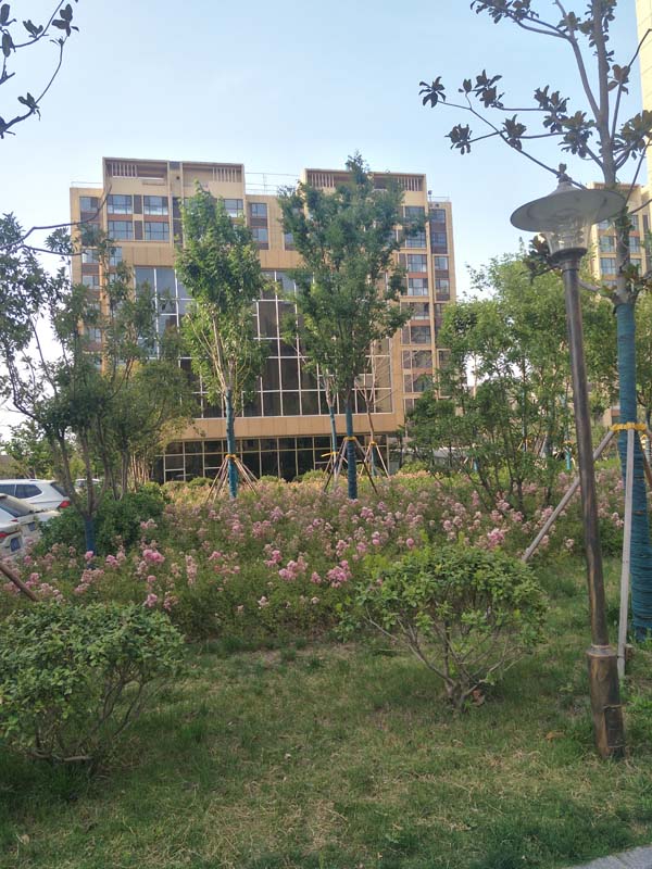 IMG20200521162445.jpg