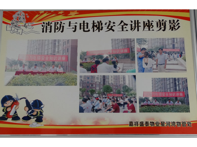 DSC03984.jpg