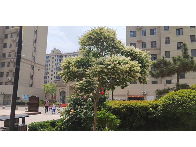 书香水岸C区
