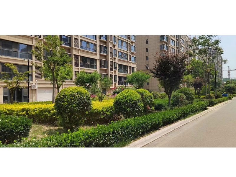 书香水岸C区